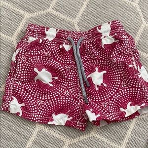 Boys Vilebrequin swim trunks.